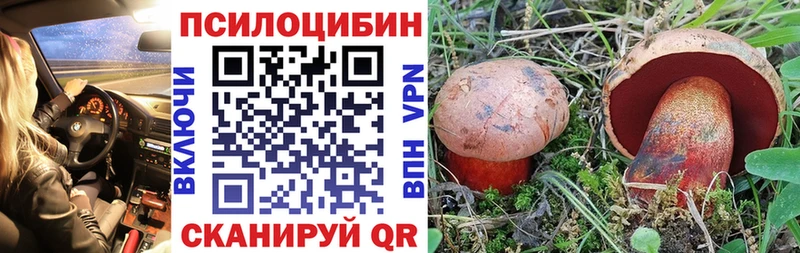 kraken зеркало  Яхрома  Галлюциногенные грибы MAGIC MUSHROOMS 
